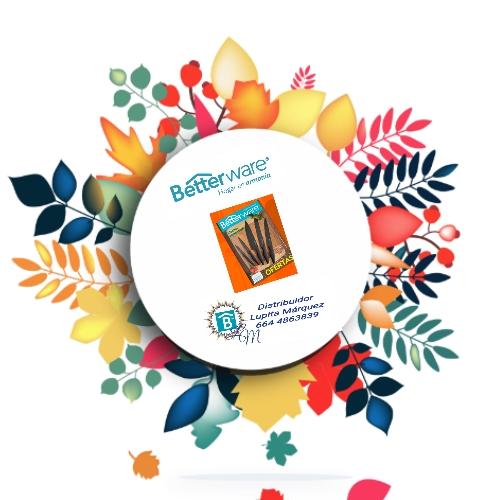 Lupita Marquez - Betterware Tijuana