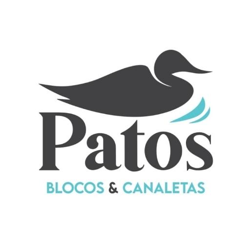 Patos Blocos e Canaletas
