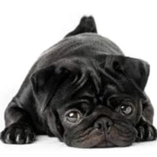 Cuidado con el Gordo