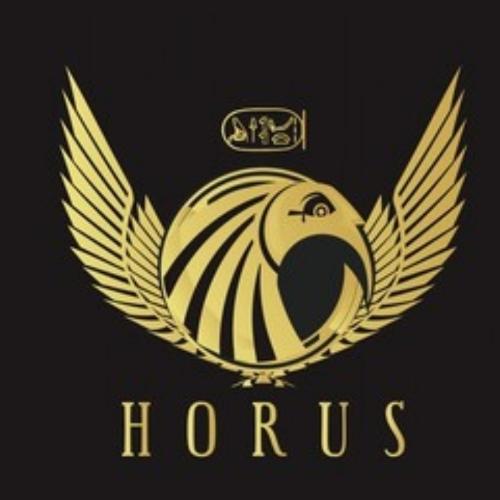 HORUS CCTV