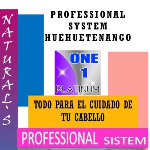 Professional Sistem Huehuetenango 
