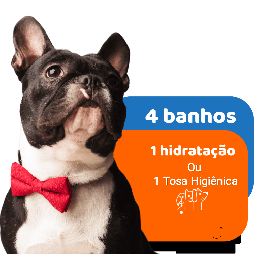 6 -  Pacote Ouro Cães de Pequeno Porte