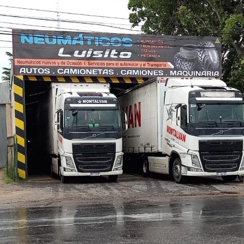 NEUMATICOS LUISITO