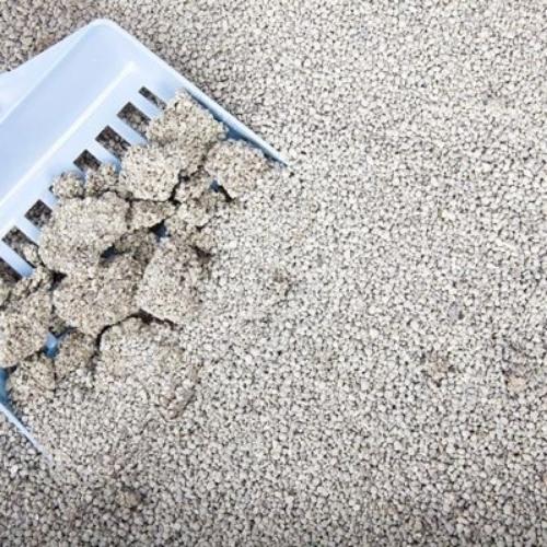 25 kilosArena sanitaria nacional