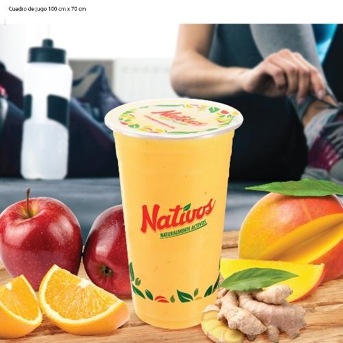 Expertos en batidos y alimentación daludable.