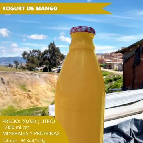 Yogurt de mango