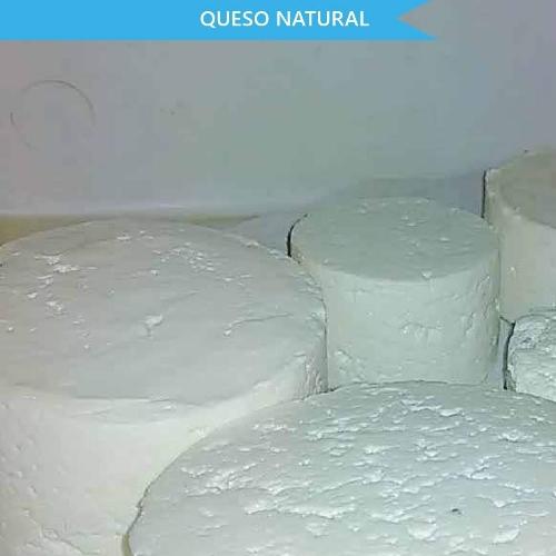 Queso natural