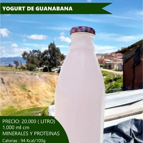Yogurt de guanábana