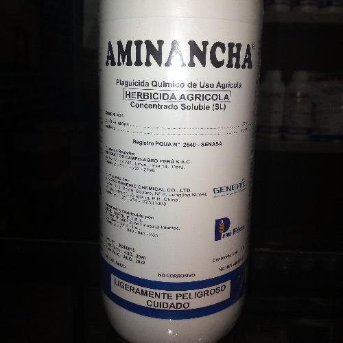 Aminancha