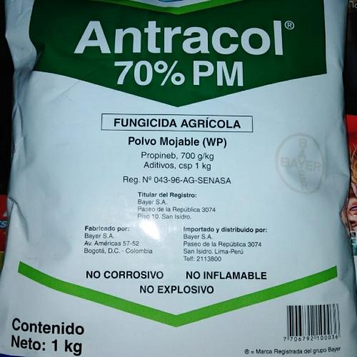Antracol