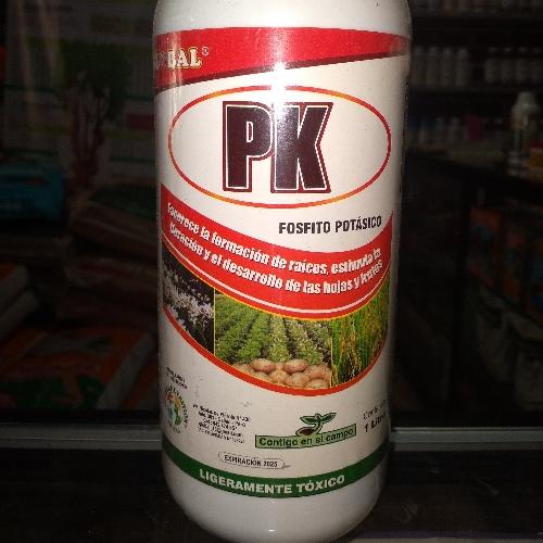 Global PK