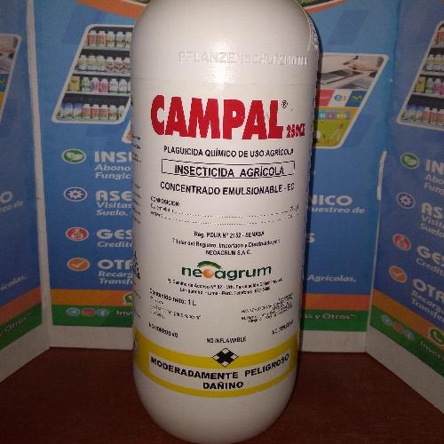 Campal