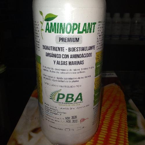 AminoPlan
