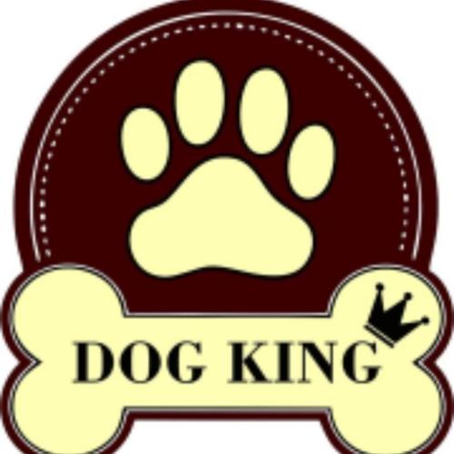 DOG KING MASCOTAS