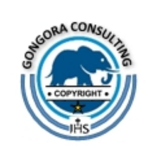 GÓNGORA CONSULTING S.R.L