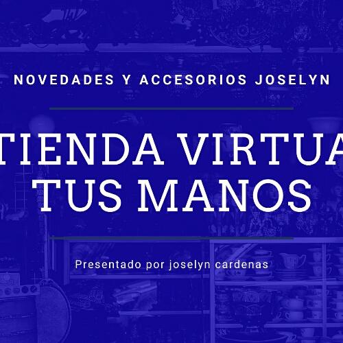 Novedades y accesorios joselin