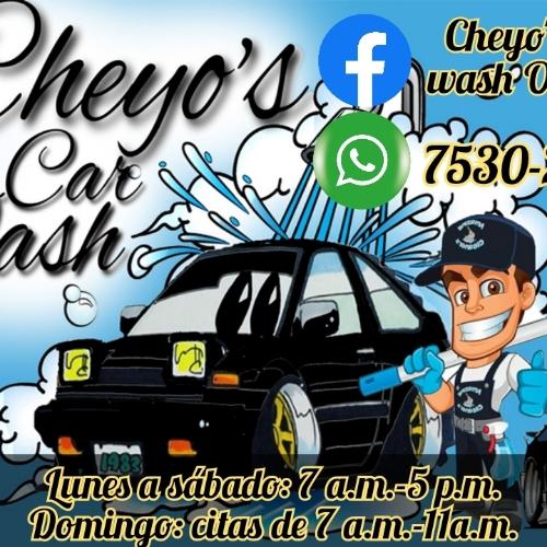 Cheyo's Car Wash Accesories