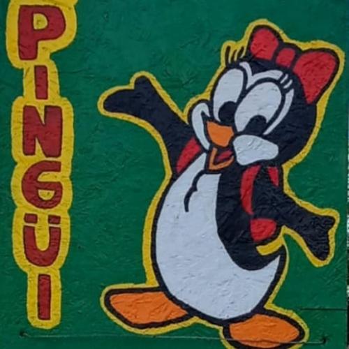 Bazar y Librería La Pingüi