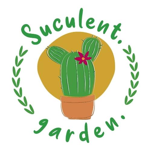 Suculent Garden