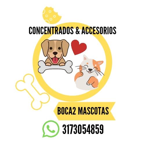  Boca2 Mascotas 