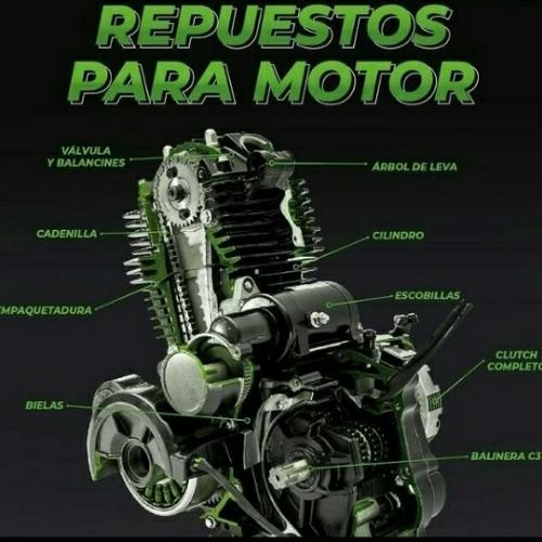 forros the doctor328