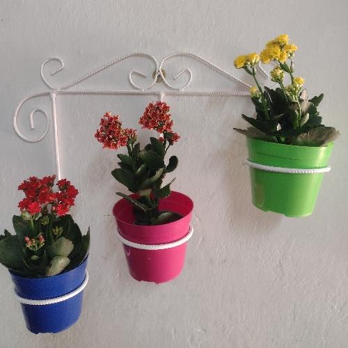 Aplique de pared 3 puestos x 12 cm diámetro