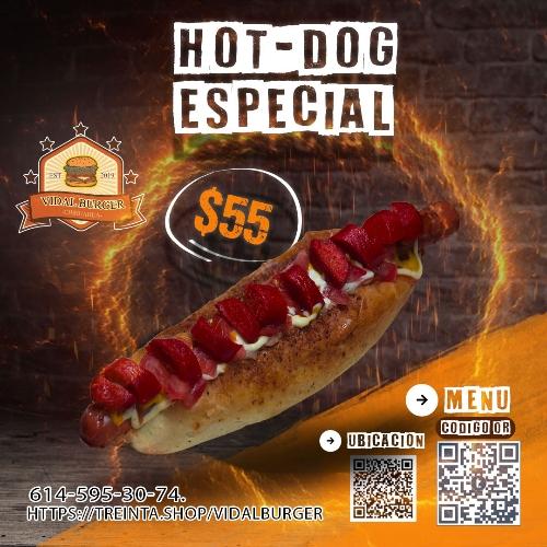 Hot Dog Especial