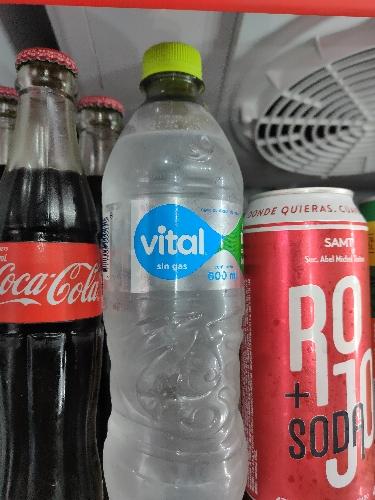 Agua Vital 600 ml.