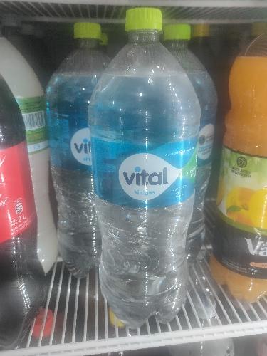 Agua Vital 2L.