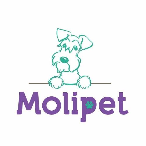 Molipet