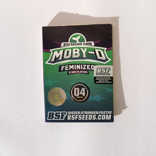 Moby D Fem