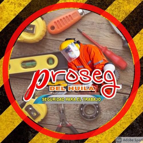 PROSEG DEL HUILA