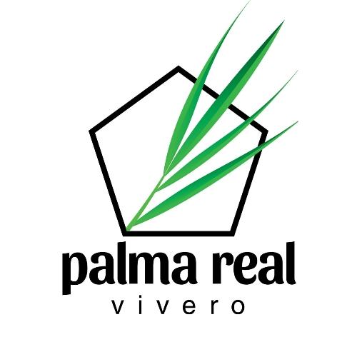 Palma Real Vivero