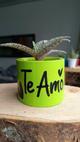 Cilimdrica "Te Amo" Verde Limón