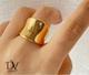 ANILLO DE BANDA ANCHA