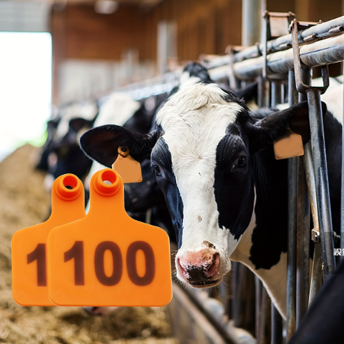 Aretes para VACAS o TOROS