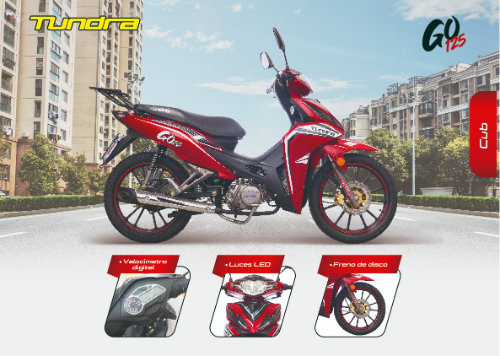 MOTO TUNDRA CABALLITO GO 125