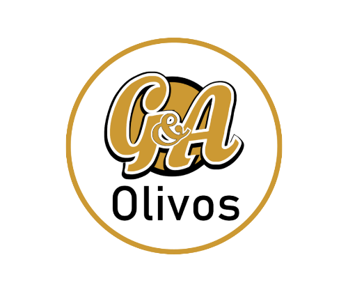 G & A Olivos