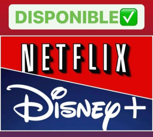Netflix + Disney +