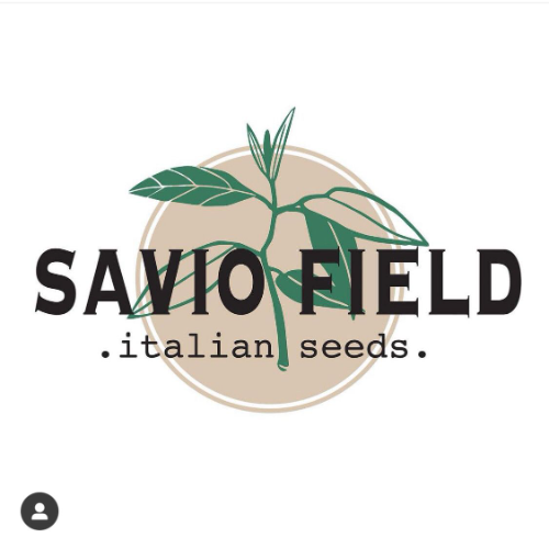 Savio Field