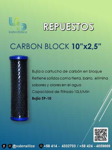 Carbón Block 10" x  2.5"