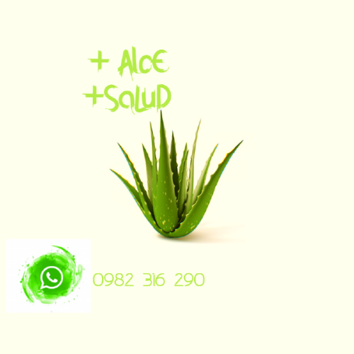 Más Alóe Más salud