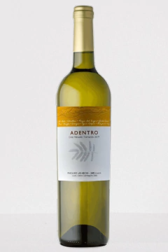 Adentro Gran Nevado Torrontes