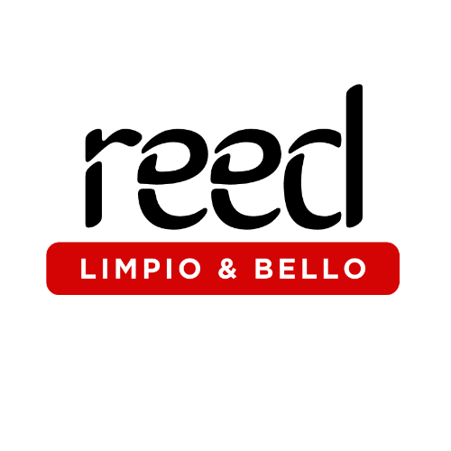 Reed Limpio Bello
