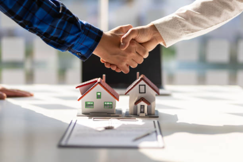 ASESOR INMOBILIARIO