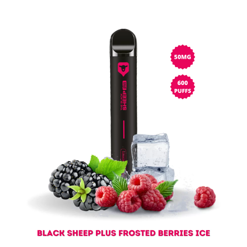 Black Sheep - FROSTED BERRIES 600Pufs