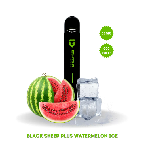 Black Sheep - WATERMELON ICE (melancia) 600Pufs