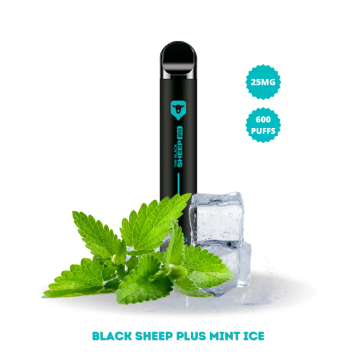 Black Sheep - MINT ICE (Menta) 600Pufs