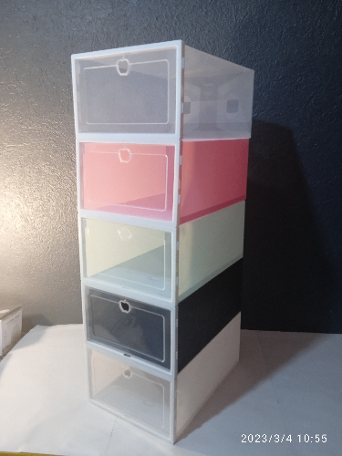 Caja de Zapatos 10pz.