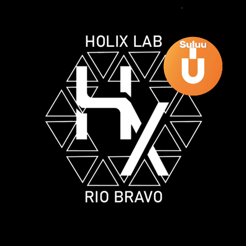 HOLIX LAB / SÚLUU